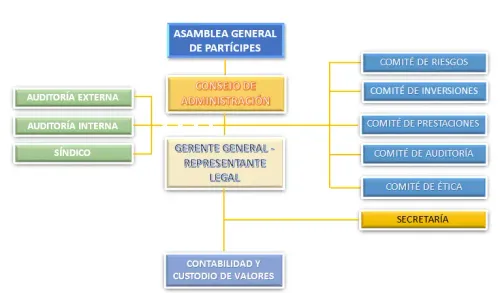 Organigrama Institucional